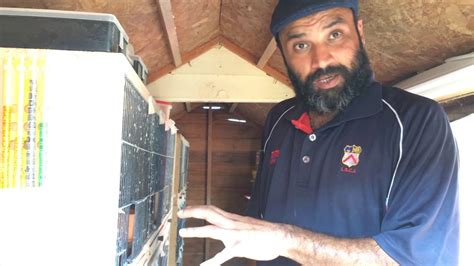 Afbeeldingsresultaten voor Cleaning the Pigeon Loft