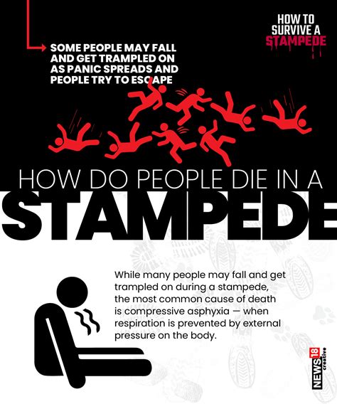 Image result for Stampede Interrupts