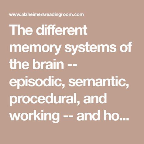 Image result for Epiosocic Memory Examples