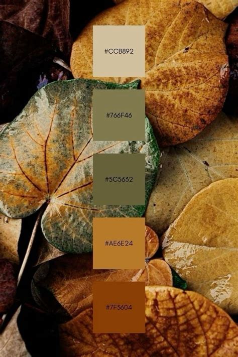 Image result for fgColor Color Palette