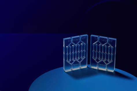 Image result for Form 3 Sample