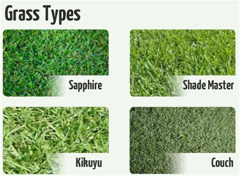Image result for Golf Turf Types