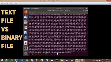 Text File and Binary File Difference に対する画像結果