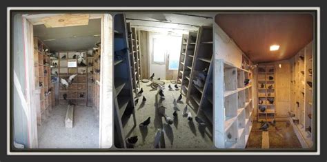 Afbeeldingsresultaten voor Cleaning the Pigeon Loft