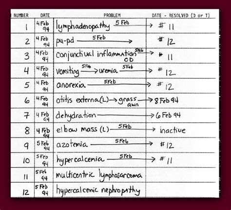 Medical Problem List Example に対する画像結果