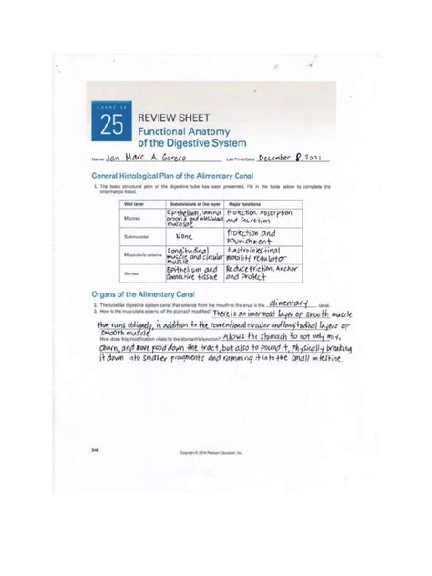 Toradh íomhá ar Digestive System Worksheet Answer Key