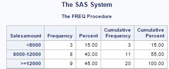 Image result for Proc Format Example