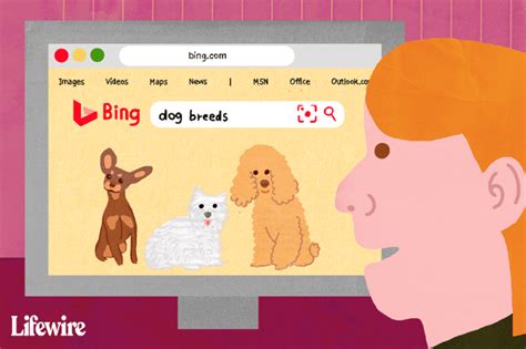 Image result for How to Use Bing