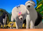 Image result for Open Season 2 Fifi