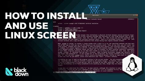 Image result for Linux Instrallation Screen