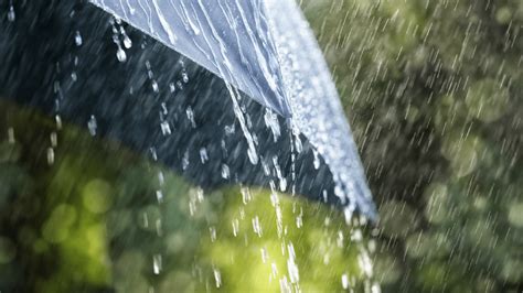 Image result for Rain Cycle