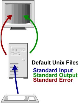 Image result for Standard File Input