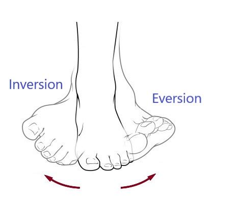 Toradh íomhá ar Inversion/Eversion Hand