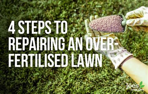 Toradh íomhá ar Lawn Repairing