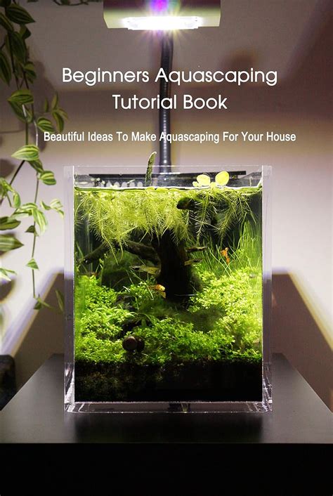 Image result for Aquascape Tutorial
