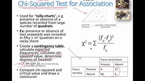 Image result for Example of Chi-Square Test