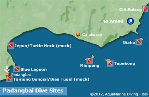 Toradh íomhá ar Dive Site