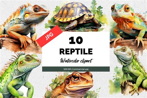 Afbeeldingsresultaten voor Reptile Template