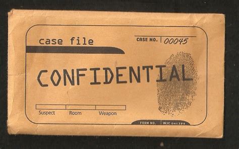 Image result for File Case Envelope