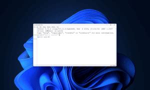 Image result for Python Compiler Download for Windows 11