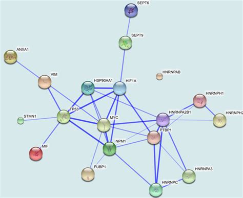 ISO String Database に対する画像結果