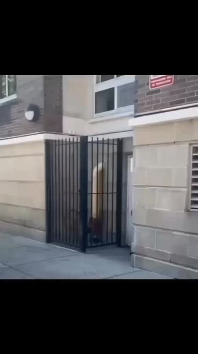 Image result for General Linear Model Meme