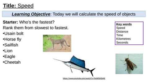 Image result for Speed Distance Time Maths GCSE Non Calc
