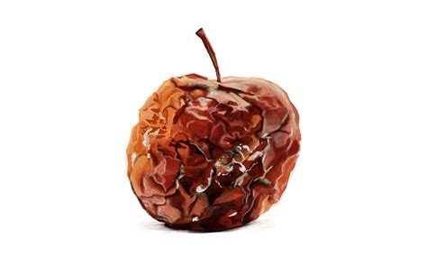 Toradh íomhá ar Why Do We Create Algorithms