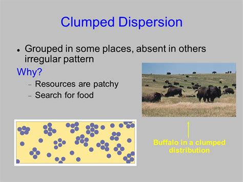 Afbeeldingsresultaten voor Clumped Dispersion Example