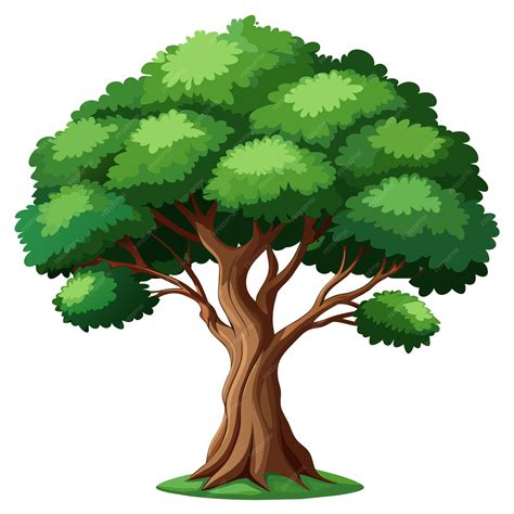 Afbeeldingsresultaten voor Realistic Tree Vector