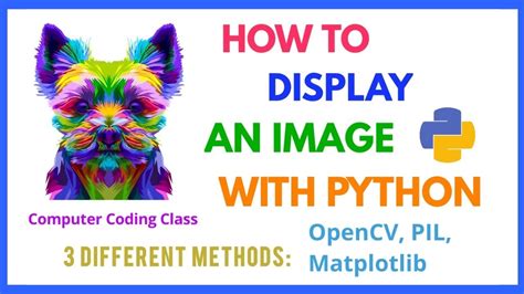 Image result for Pyhon Sample Image