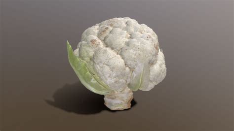 Afbeeldingsresultaten voor Cauliflower Vegetable 3D Model