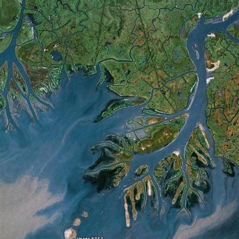 Image result for Delta Classification Scheme