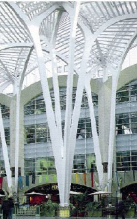 Image result for Tree-Like Structure