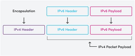 Image result for IPv6 Tree