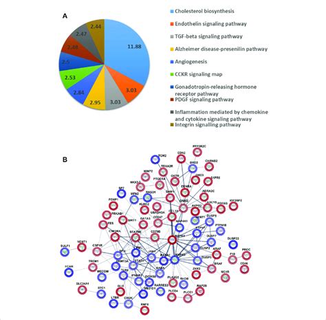 Microarray Gene Expression Analysis に対する画像結果
