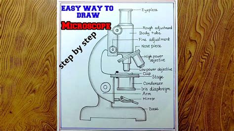 Image result for How to Draw a Compound Microscope