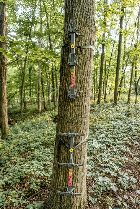 Afbeeldingsresultaten voor Best Climbing Sticks