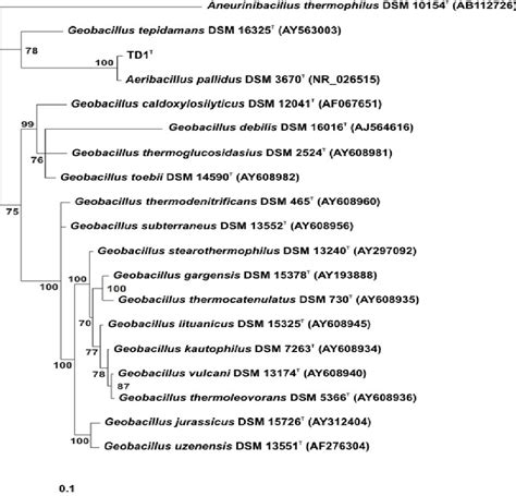 Image result for Bayesian Classification Tree Algorithm