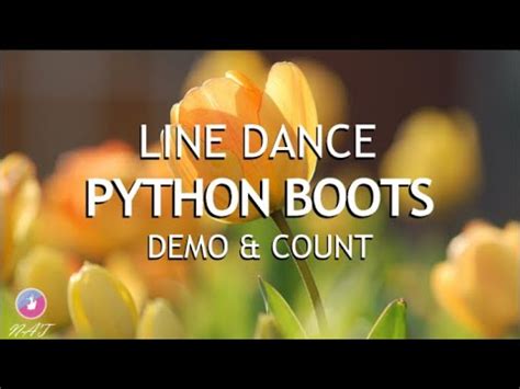 Image result for Learn Python Dancers
