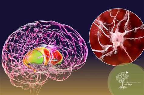 Image result for Huntington Library Botanical Garden