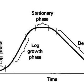 Image result for Generation Time Graph Micro Lag Log Phase