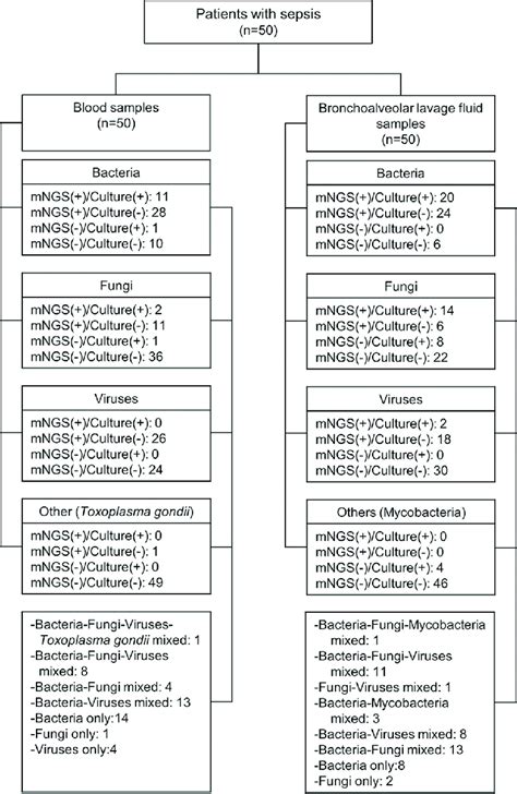 Image result for Papear a Map Based On Flohns Classification Scheme