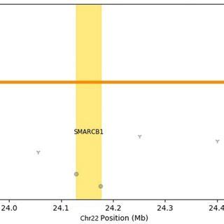 Copy Number Variation Line Plot に対する画像結果