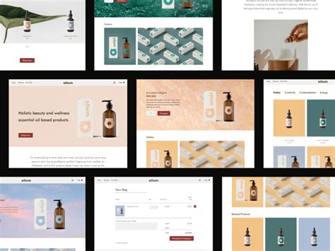 Image result for Web Design Experience