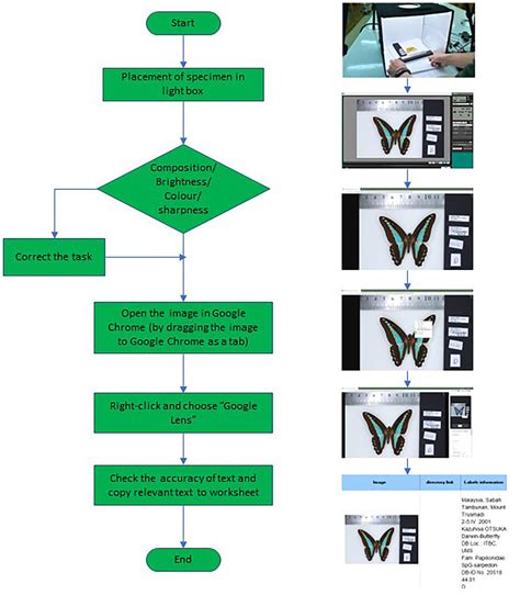 Image result for How Does a Continuous Loop Workflow Look Like