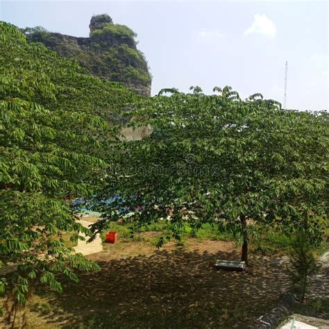 Image result for Java Place