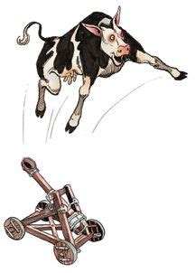 Image result for Monty Python Cow Catapult GIF