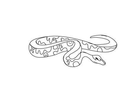 Image result for Ball Python Outline Design