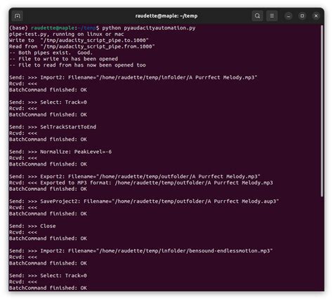 Image result for Audacity Code Python